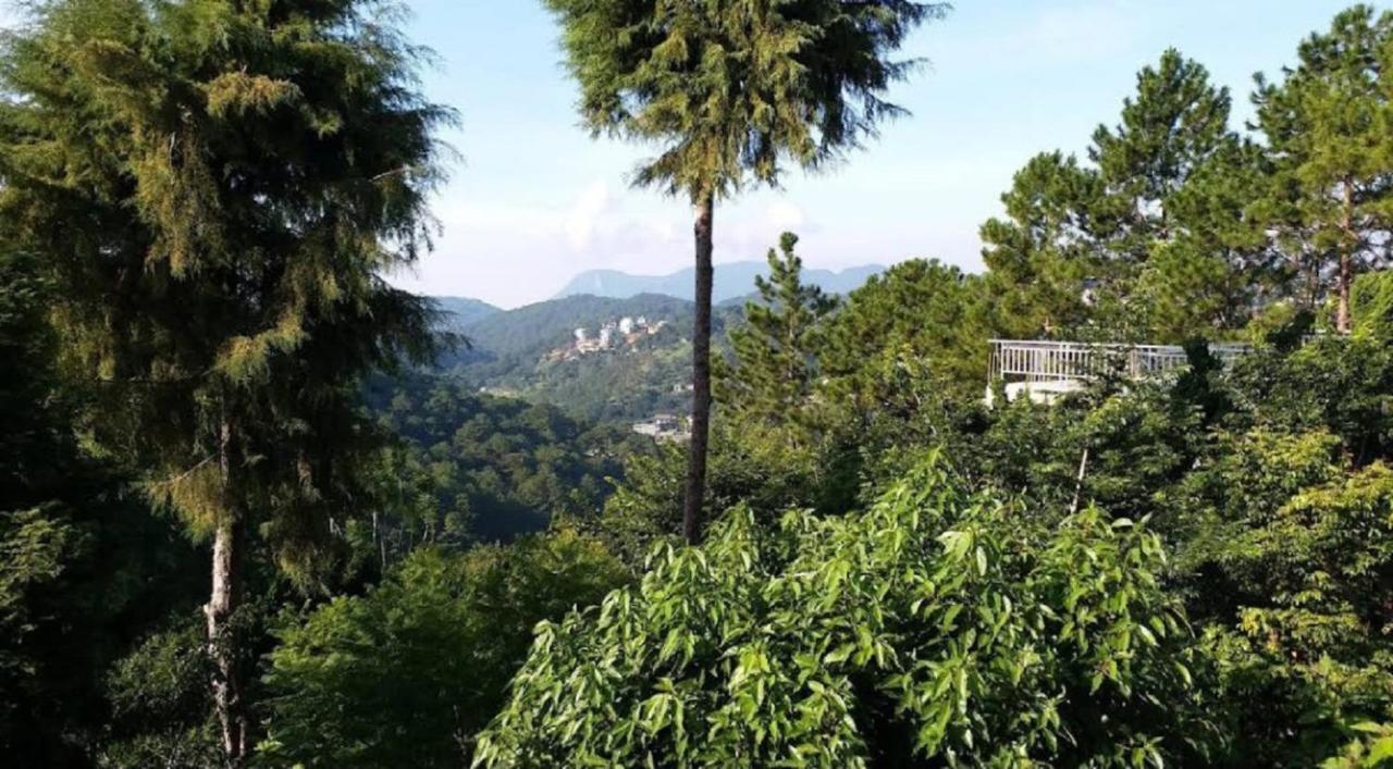 Villa Dieu Thong - Secrect Garden, View San May Va Nui Da Lat Kültér fotó